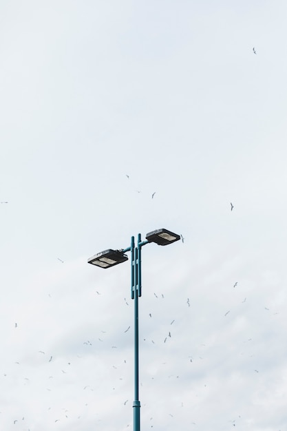 Gratis foto troep van vogels die over het straatlantaarn tegen hemel vliegen