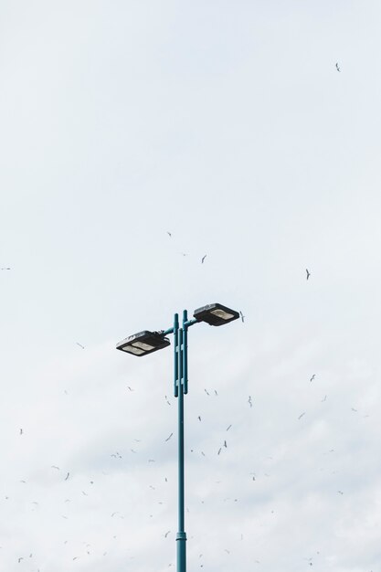 Troep van vogels die over het straatlantaarn tegen hemel vliegen