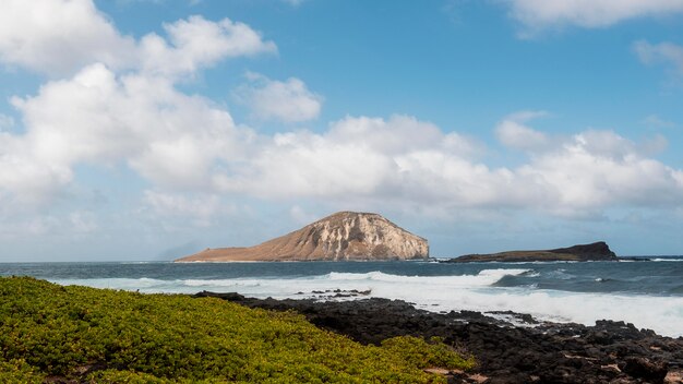 Tropisch Hawaii landschap met de blauwe zee