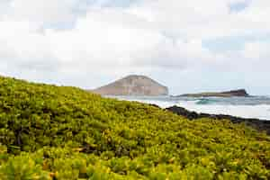 Gratis foto tropisch hawaii landschap met de blauwe zee