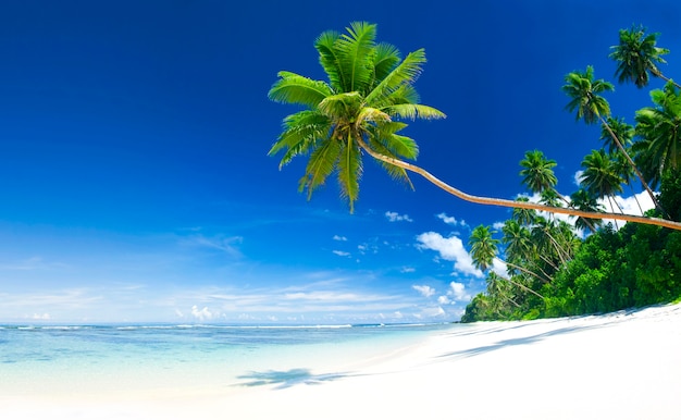 Tropisch strand op Samoa