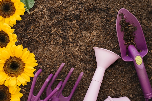 Tuinbouw samenstelling met zonnebloemen en tuinieren apparatuur