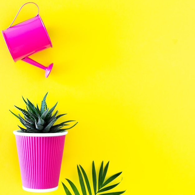 Tuingieter met cactussen en bloempotten van magenta kleur op een gele achtergrond Creatieve bloemverzorgingslay-out voor thuis met ruimte om te kopiëren