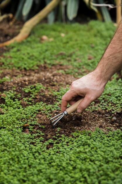 Tuinieren concept met man aanplant