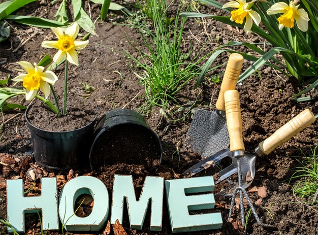 Tuinieren, prachtige lentebloemen met tuinartikelen