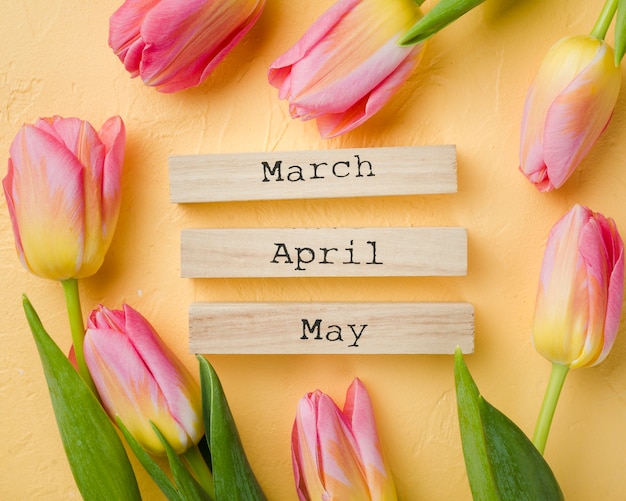 Gratis foto tulpen met lente maanden tags op tafel