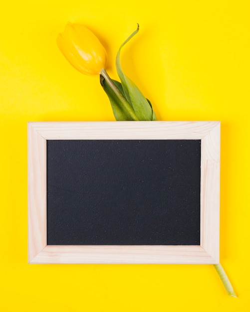 Gratis foto tulpenbloem met een bord