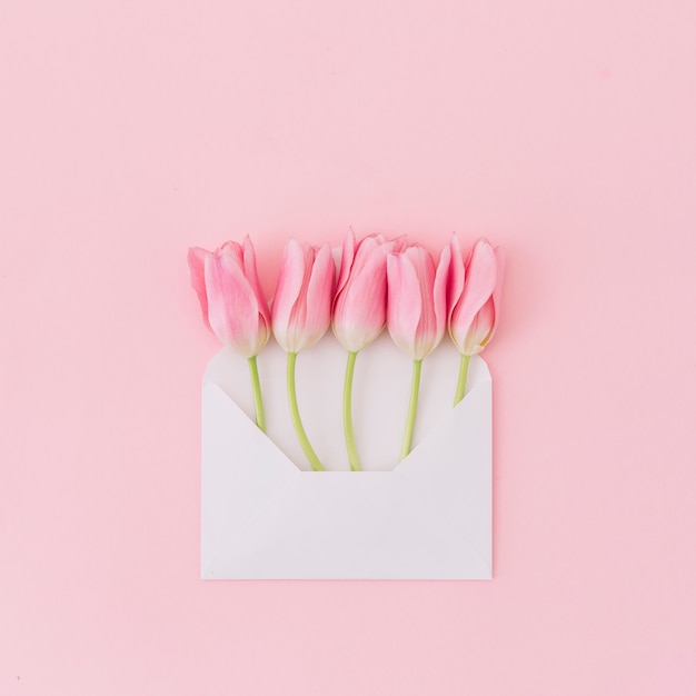 Tulpenbloemen in envelop op lijst