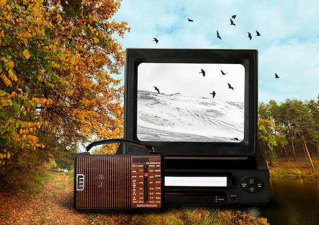 Gratis foto tv in natuurconcept