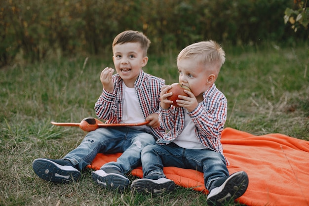 Twee broers spelen in een zomerveld