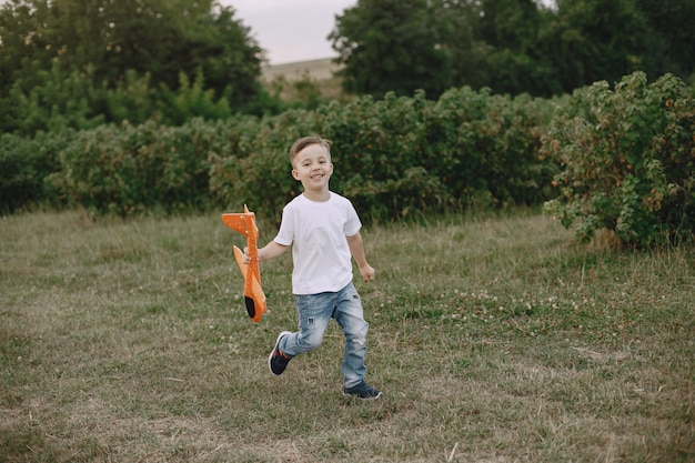 Twee broers spelen in een zomerveld