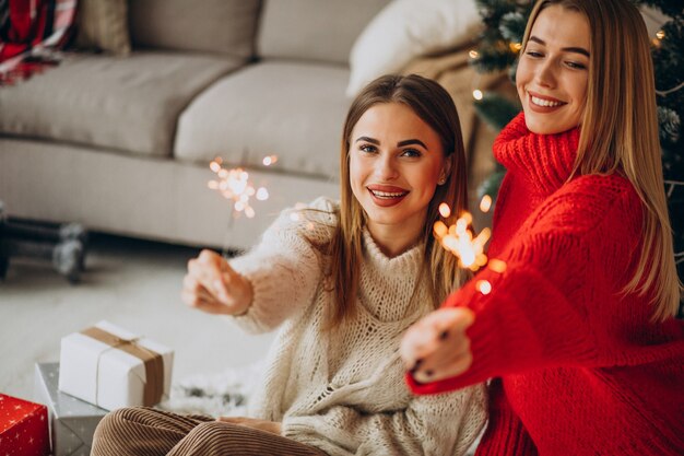 Twee meisjesvrienden die kerstmis vieren
