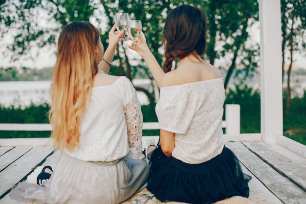 Twee mooie meisjes in een de zomerpark