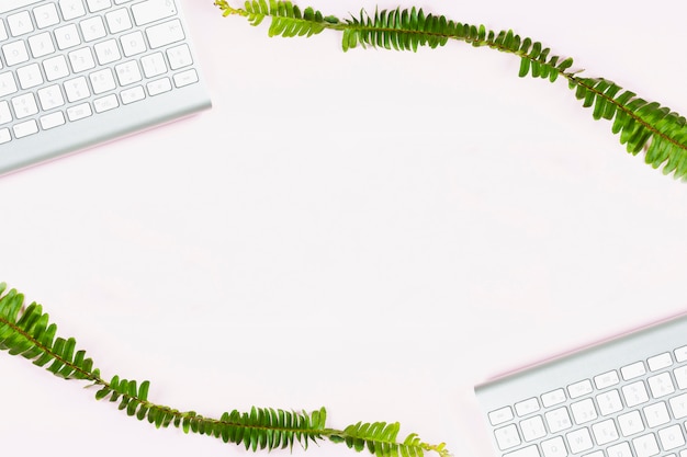 Twee plant takken met witte toetsenborden op lege achtergrond