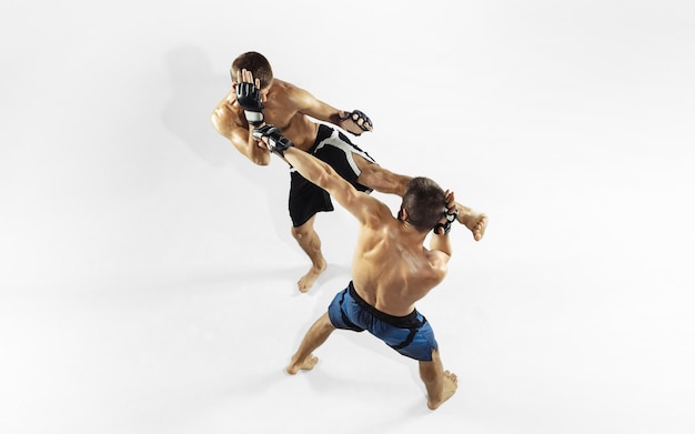 Twee professionele MMA-strijders boksen geïsoleerd op witte studio.
