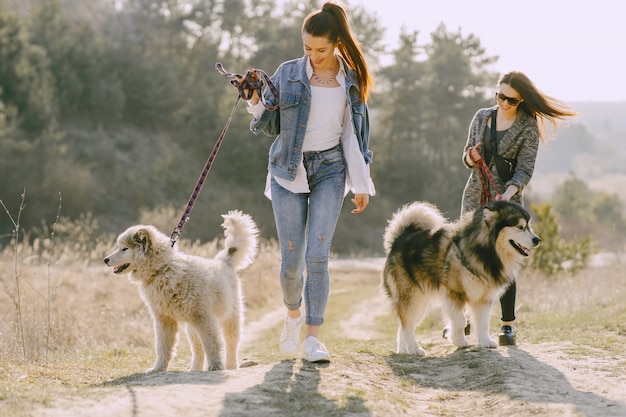 Twee stijlvolle meisjes in een zonnig veld met honden