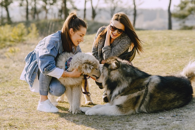 Twee stijlvolle meisjes in een zonnig veld met honden