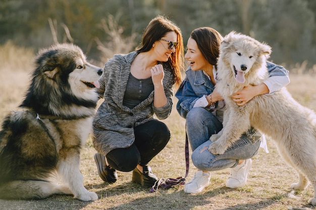 Twee stijlvolle meisjes in een zonnig veld met honden