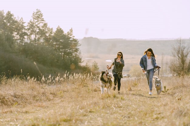 Twee stijlvolle meisjes in een zonnig veld met honden