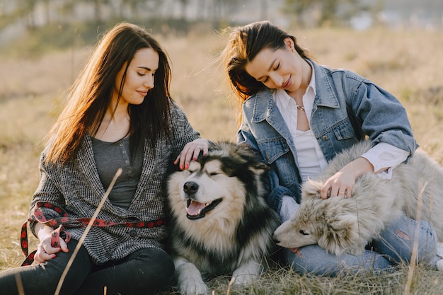 Twee stijlvolle meisjes in een zonnig veld met honden