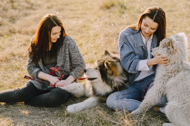 Twee stijlvolle meisjes in een zonnig veld met honden