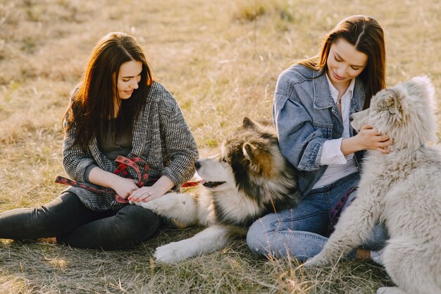 Twee stijlvolle meisjes in een zonnig veld met honden