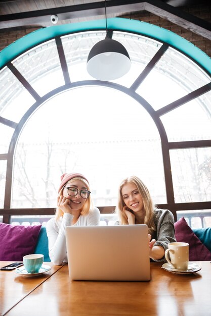 Twee vrolijke vrouwen die en laptop in koffie zitten met behulp van