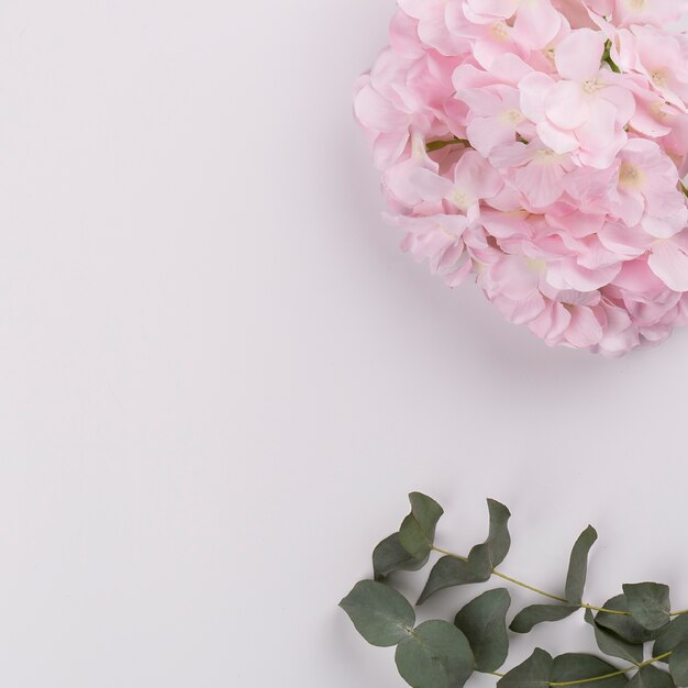 Twijgen in de buurt van schattige bloemen