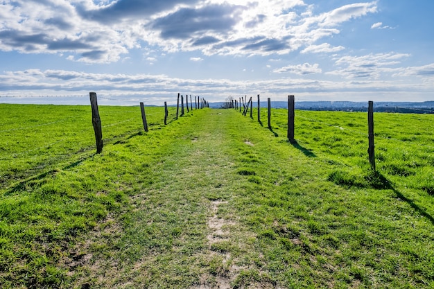 Uitgestrekte groene vallei met overdag een blauwe lucht