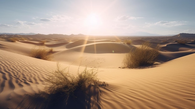 Uitgestrekte zandduinen die zich uitstrekken tot aan de horizon onder de brandende zon