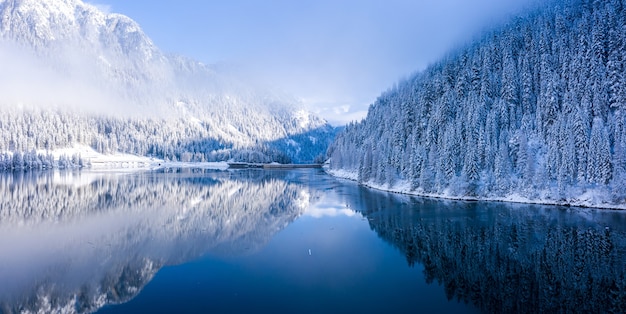 Uitzicht op besneeuwde bergen vol met bomen naast een kalm meer bij daglicht