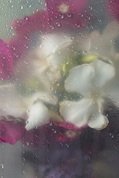 Uitzicht op bloemen door gecondenseerd glas