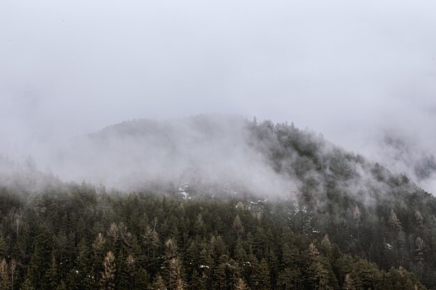 Uitzicht op de groene berg vallende mist