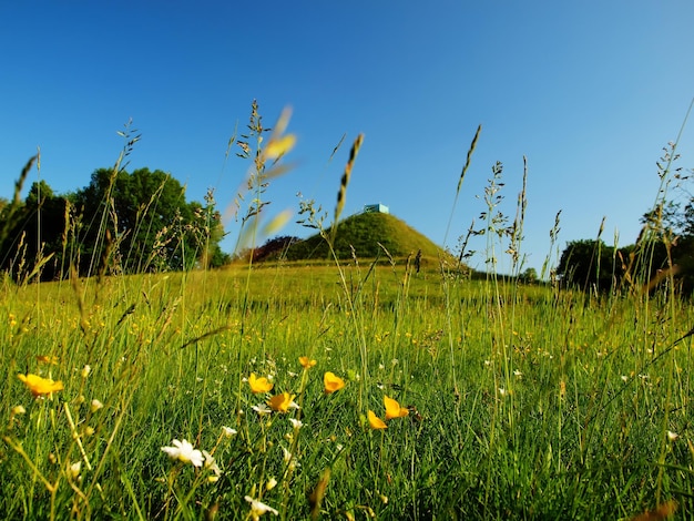 Uitzicht op de landpiramide