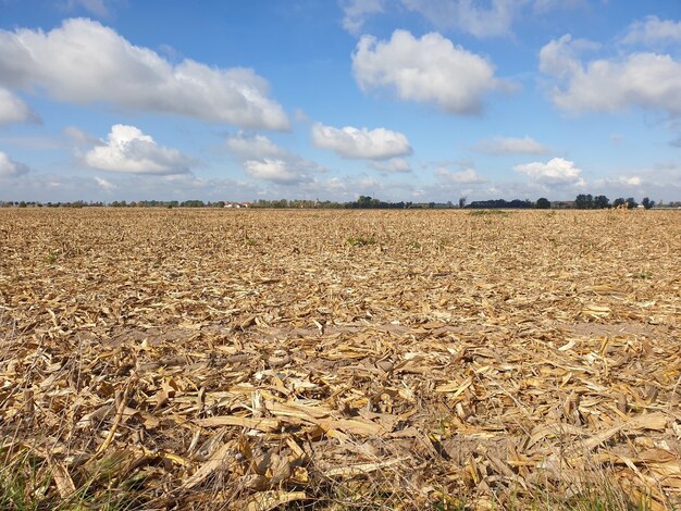 Uitzicht op droog gras in een vallei onder een bewolkte hemel