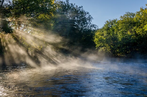 Uitzicht op een prachtig landschap, met bomen, water, ochtendlicht en mist.