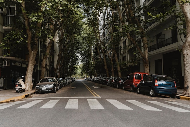 Gratis foto uitzicht op een stadsstraat met zebrapad en auto's