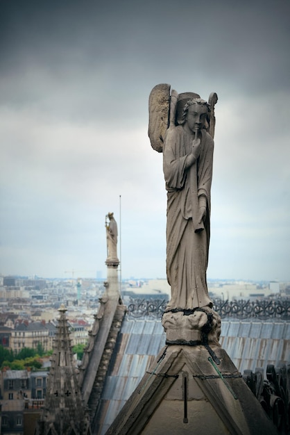 Uitzicht op het dak van Parijs vanaf de kathedraal Notre-Dame.