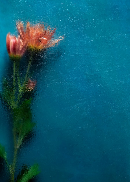 Uitzicht op natuurlijke wazige bloemen