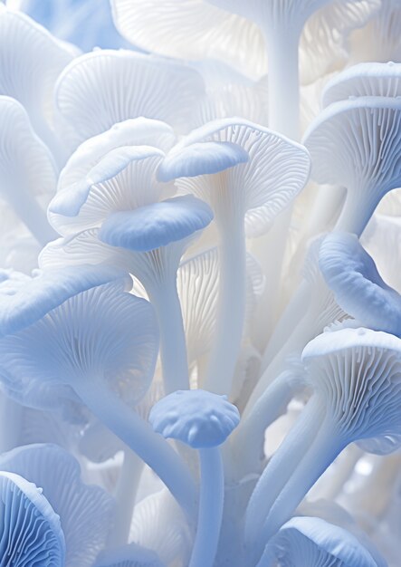 Uitzicht op witte en blauwe paddenstoelen