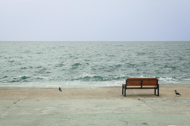 Gratis foto uitzicht op zee met bankje ruimte voor tekst