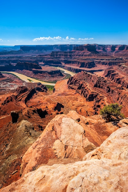 Uitzicht vanaf Dead Horse Point, VS.