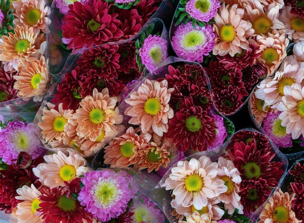 Van kleurrijke bloemen die overdag te koop zijn