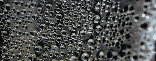 Veel water regen druppels nat raam condensatie op glas frisse achtergrond texturen gevormd door bubbels collectie helder oppervlak abstract echte foto mooi romantisch schattig behang lichtgrijs