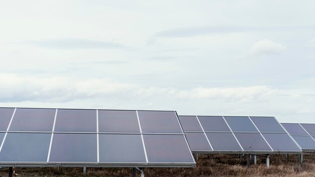 Veel zonnepanelen in het veld die elektriciteit opwekken