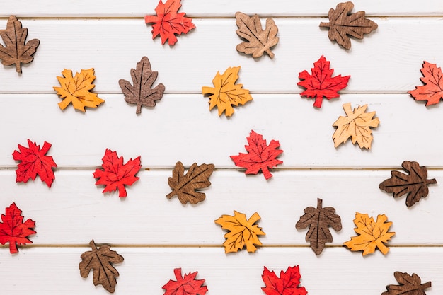 Gratis foto veelkleurige esdoornbladeren op witte houten achtergrond