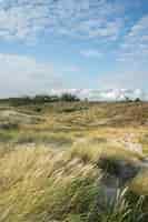 Gratis foto veld bedekt met gras en struiken onder een bewolkte hemel en zonlicht