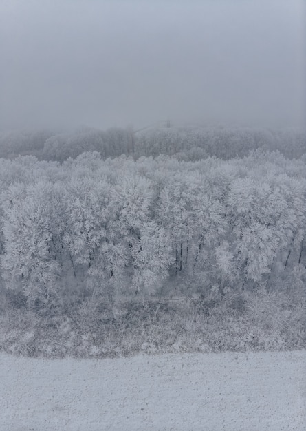 Veld en witte bevroren bomen in mist in de winter, luchtfoto van de hoogte