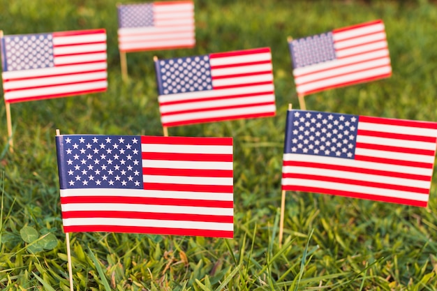 Gratis foto vele amerikaanse vlaggen van de vs op groen gras