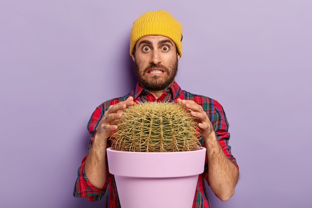 Verbaasde man met stoppels probeert stekelige cactus met handen aan te raken, klemt zijn tanden op elkaar en kijkt verbaasd naar de camera, gekleed in een stijlvolle hoed en shirt. Guy poseert in de buurt van potplant binnen.